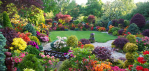 Create Your Own City Garden By Learning With Experts Online, At A Fraction Of The Cost Of Private Garden Designers