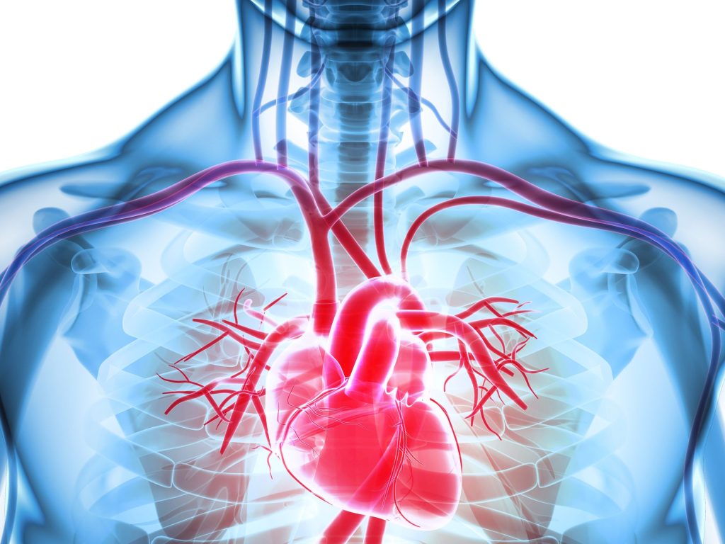 New Care Model Introduced To Help Heart Patients