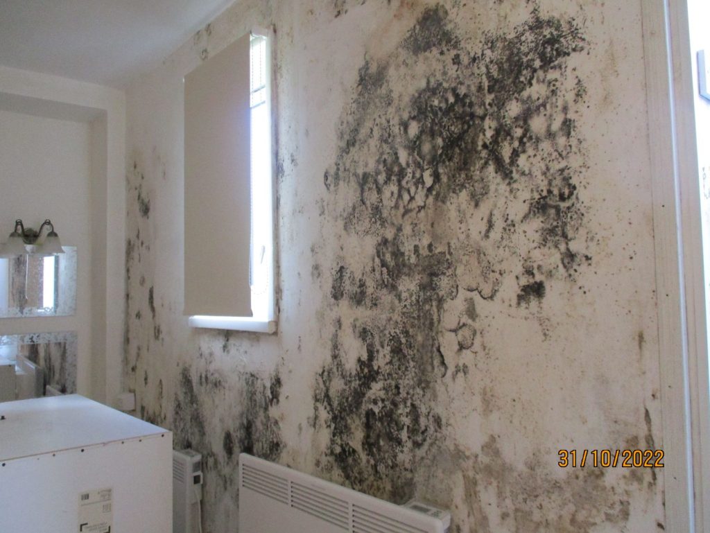 New Smart Fan Helps Prevent Mould And Damp In Social Housing